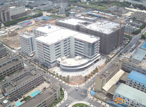 白云城市風景線迎新篇 年底生物科技產業項目即將亮相